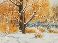 Téli kép 40x50 akvarell